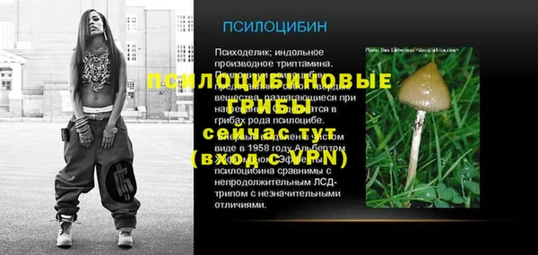 первитин Алексеевка