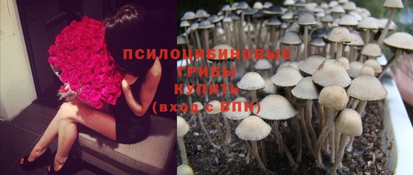 ПСИЛОЦИБИНОВЫЕ ГРИБЫ Алзамай