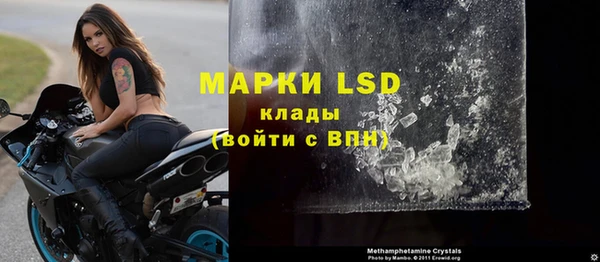 ПСИЛОЦИБИНОВЫЕ ГРИБЫ Алзамай