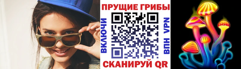 сколько стоит  Нелидово  Псилоцибиновые грибы мицелий 